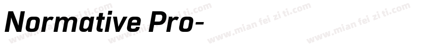 Normative Pro字体转换